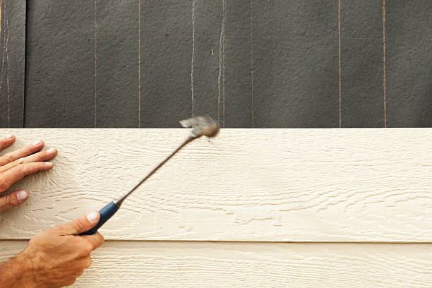 Best Custom Siding Design  in Douglasville, GA